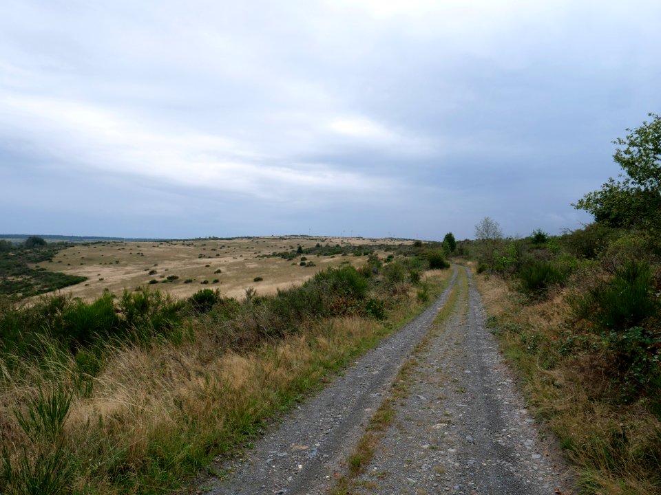 Trail from Gierberg to Müsauelsberg in September 2019 05