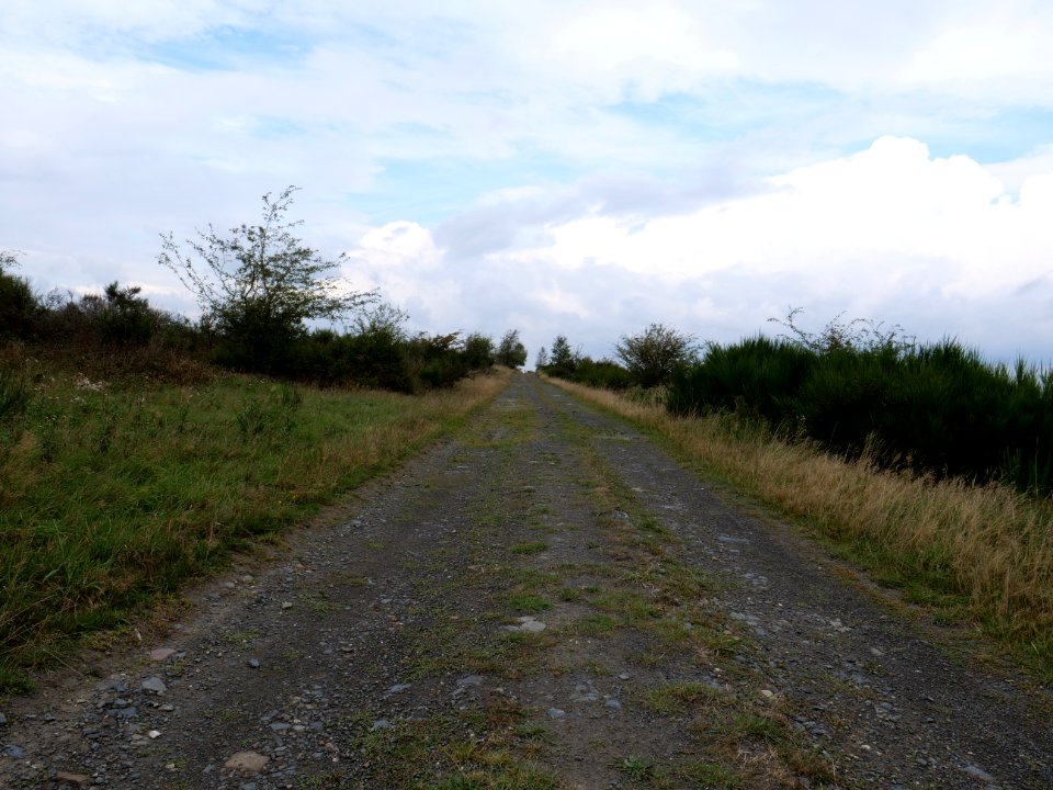 Trail from Gierberg to Müsauelsberg in September 2019 20