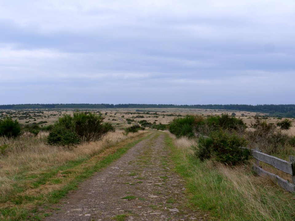 Trail from Gierberg to Müsauelsberg in September 2019 35