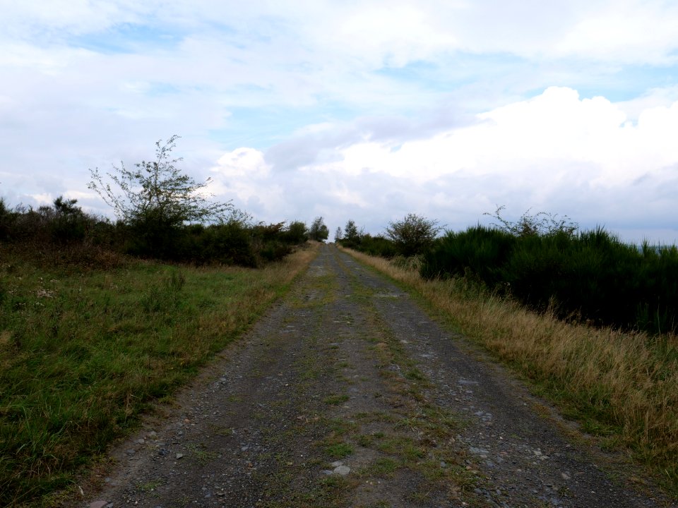 Trail from Gierberg to Müsauelsberg in September 2019 19