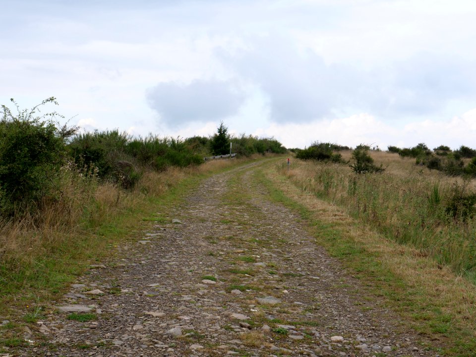Trail from Gierberg to Müsauelsberg in September 2019 32