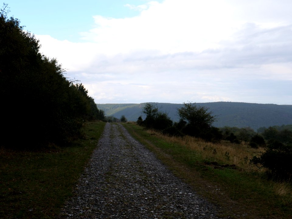 Trail at Dreiborner Hochfläche in September 2019 09