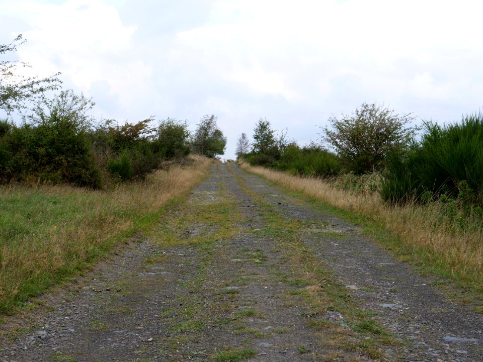Trail from Gierberg to Müsauelsberg in September 2019 21