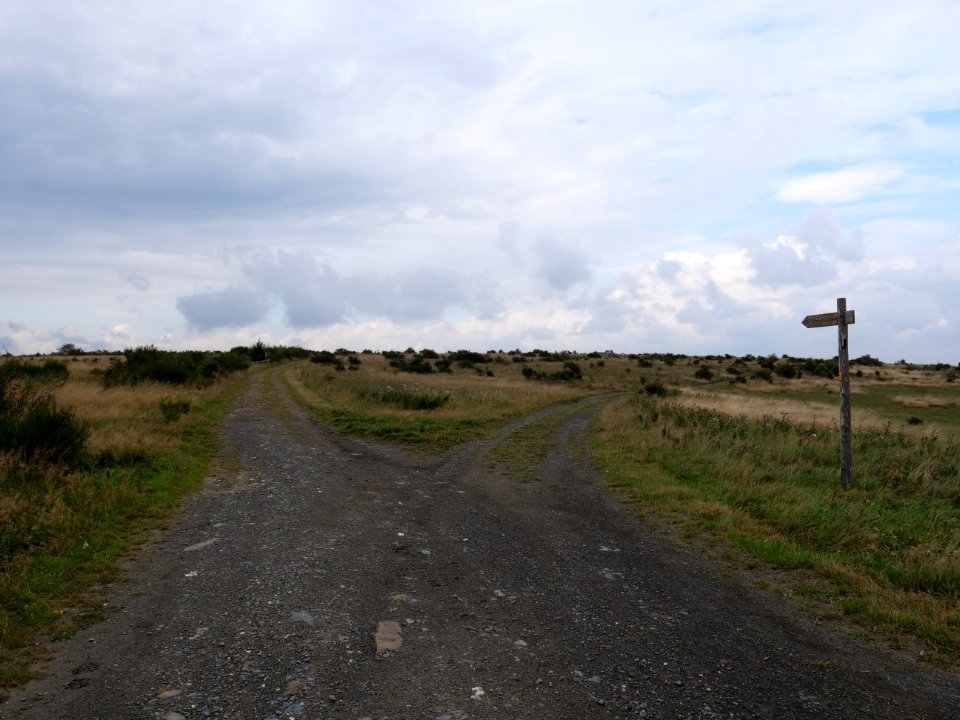 Trail from Gierberg to Müsauelsberg in September 2019 29