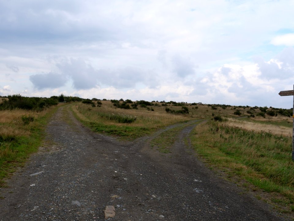 Trail from Gierberg to Müsauelsberg in September 2019 30