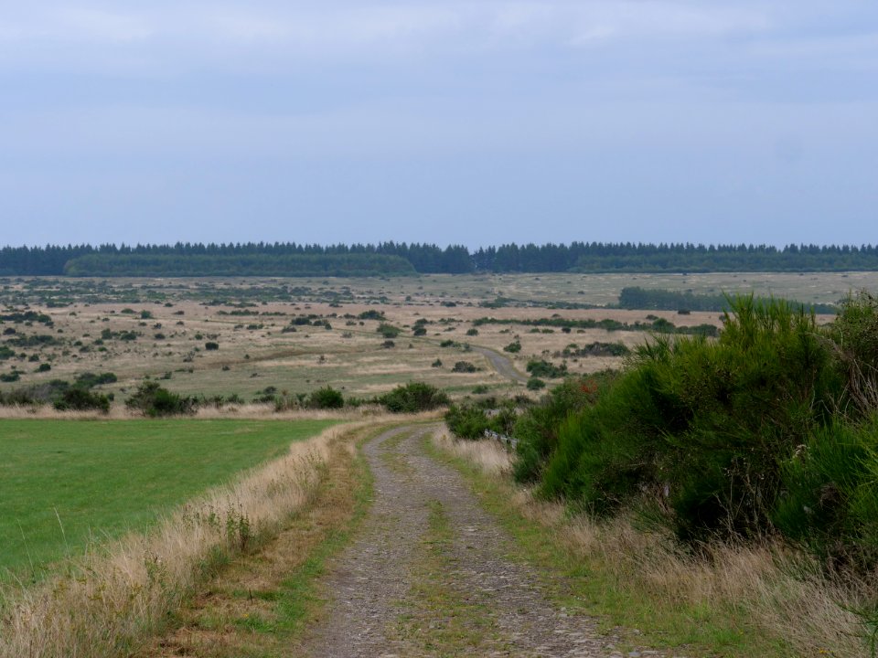 Trail from Gierberg to Müsauelsberg in September 2019 38