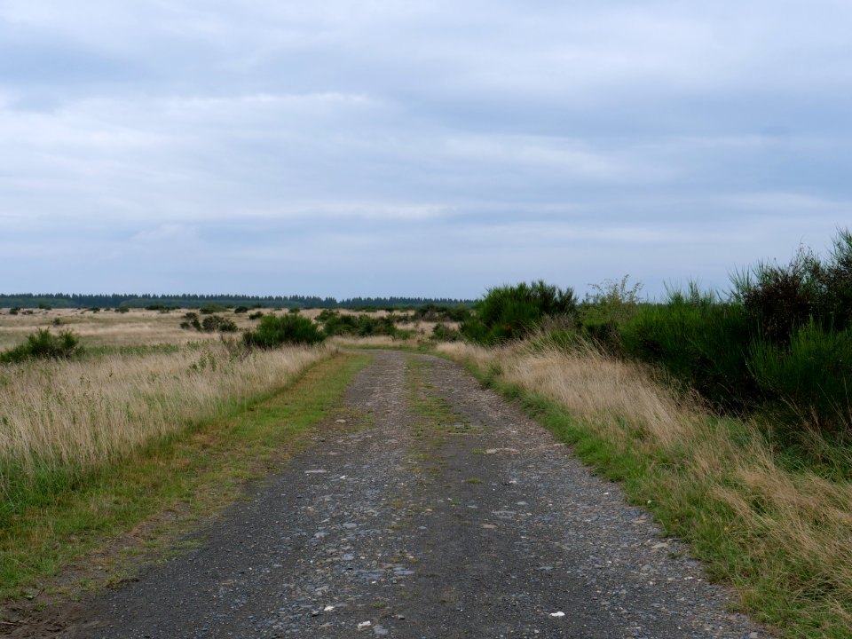 Trail from Gierberg to Müsauelsberg in September 2019 28