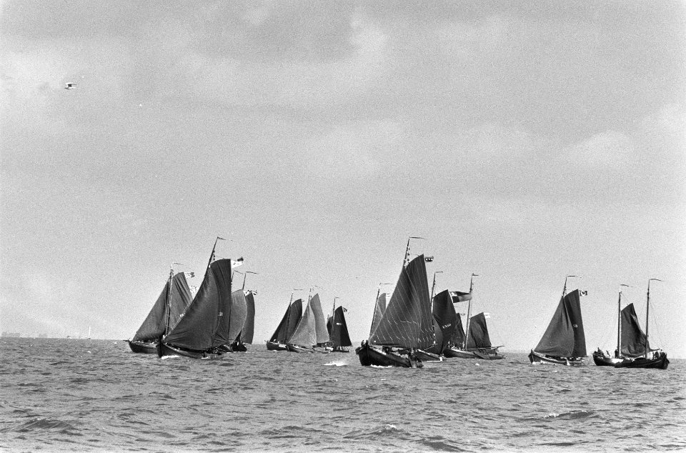 Traditionele Westwalbotterwedstrijden in IJsselmeer voor Volendam en Edam, Bestanddeelnr 933-7304