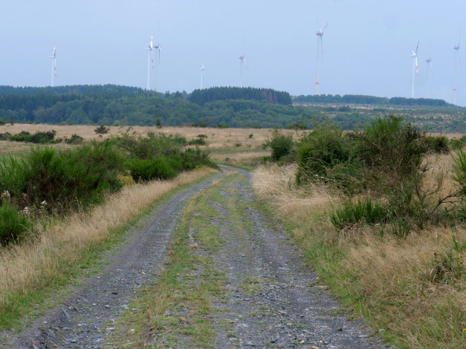 Trail from Gierberg to Müsauelsberg in September 2019 25