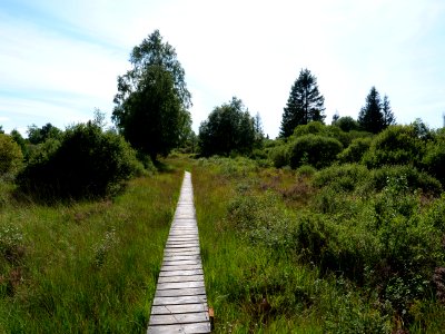 Trail at Imgenbroicher Venn 70