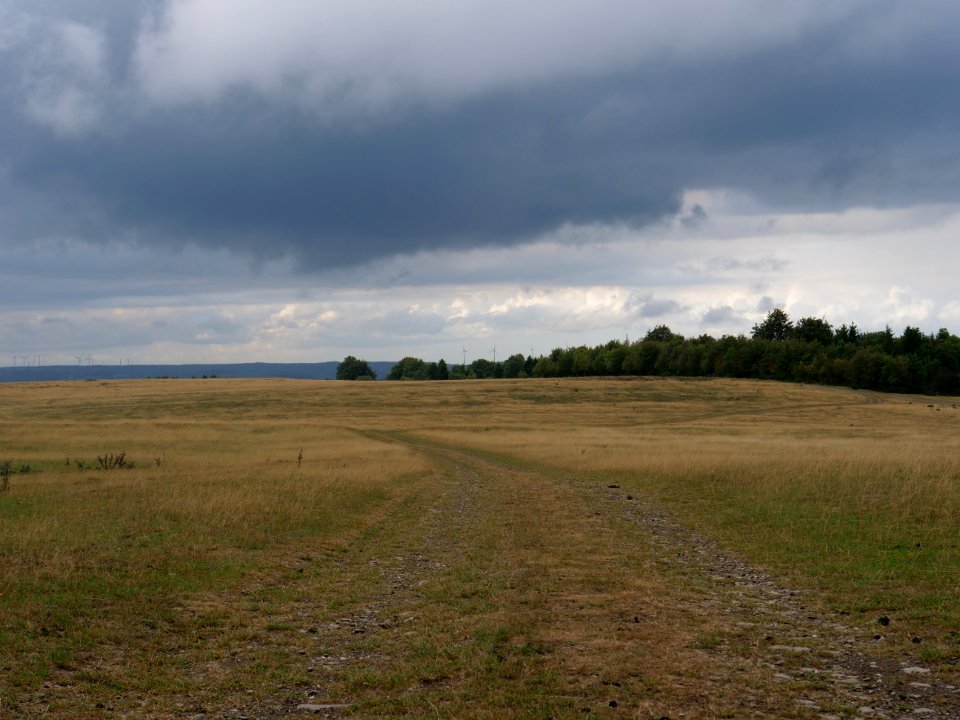 Trail at Dreiborner Hochfläche in September 2019 25