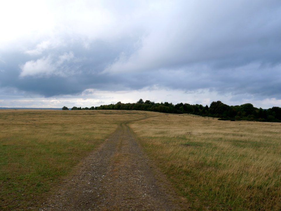 Trail at Dreiborner Hochfläche in September 2019 21