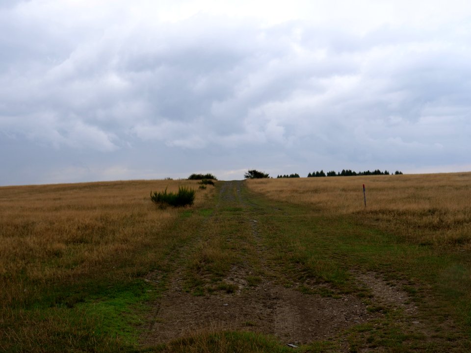 Trail at Dreiborner Hochfläche in September 2019 35
