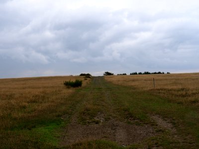 Trail at Dreiborner Hochfläche in September 2019 35