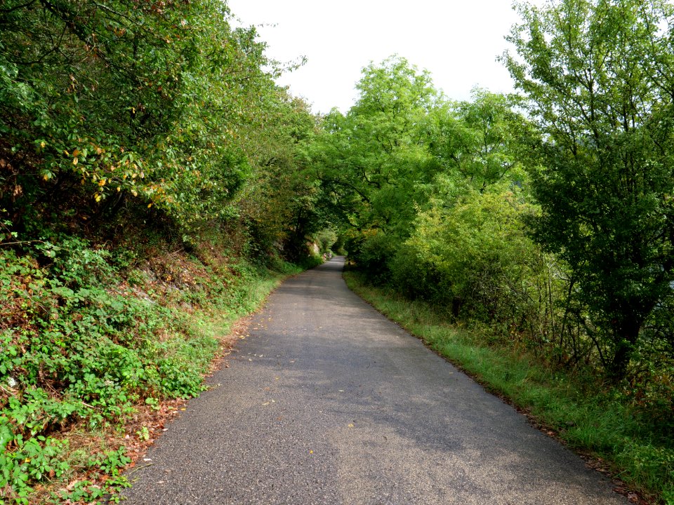 Trail at north of Urftsee 03
