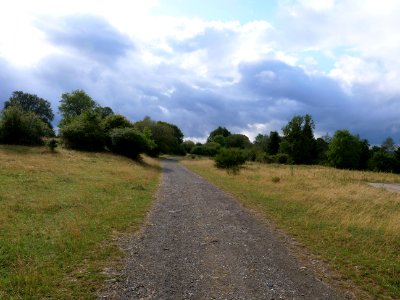 Trail at Dreiborner Hochfläche in September 2019 15