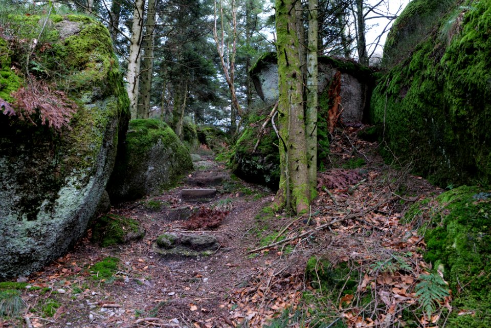 Trail at Eulenstein 2020-03-14 03