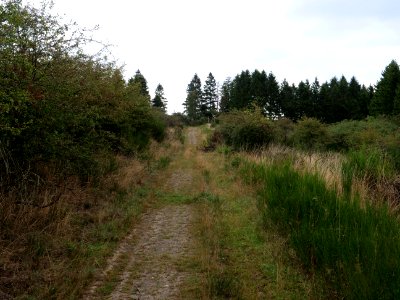 Trail at Dreiborner Hochfläche in September 2019 41