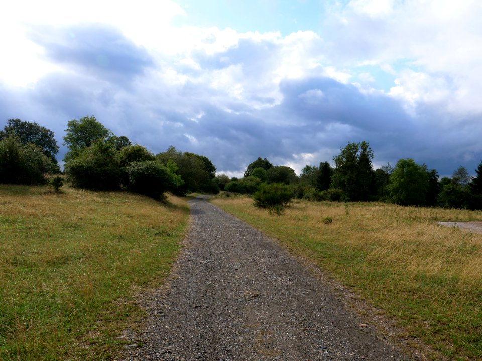 Trail at Dreiborner Hochfläche in September 2019 16