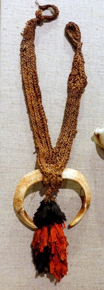 Trade necklace, Abom Village, Chambri Lakes, Papua New Guinea, c. 1950, boar tusk, raffia, textile - Spurlock Museum, UIUC - DDSC06004