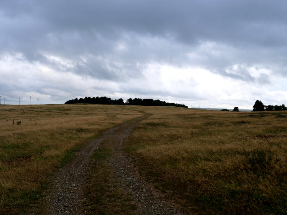 Trail at Dreiborner Hochfläche in September 2019 18