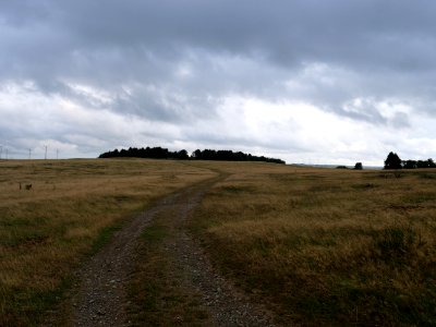 Trail at Dreiborner Hochfläche in September 2019 18