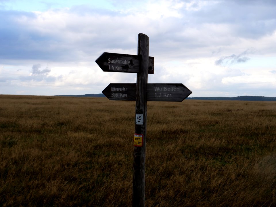 Trail at Dreiborner Hochfläche in September 2019 36