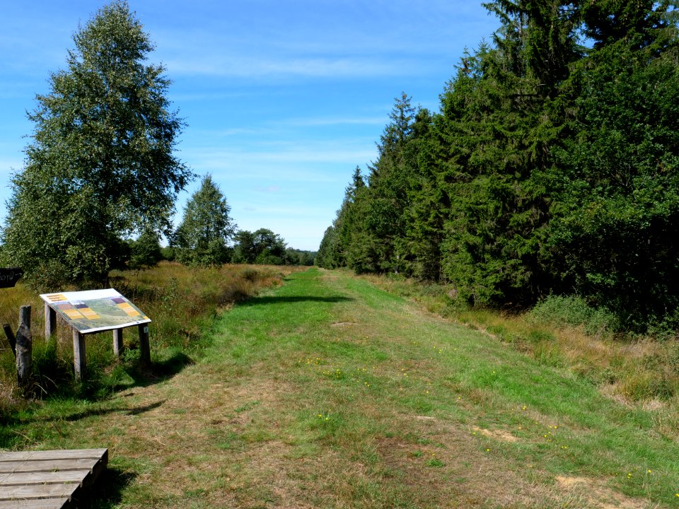 Trail at Imgenbroicher Venn 02