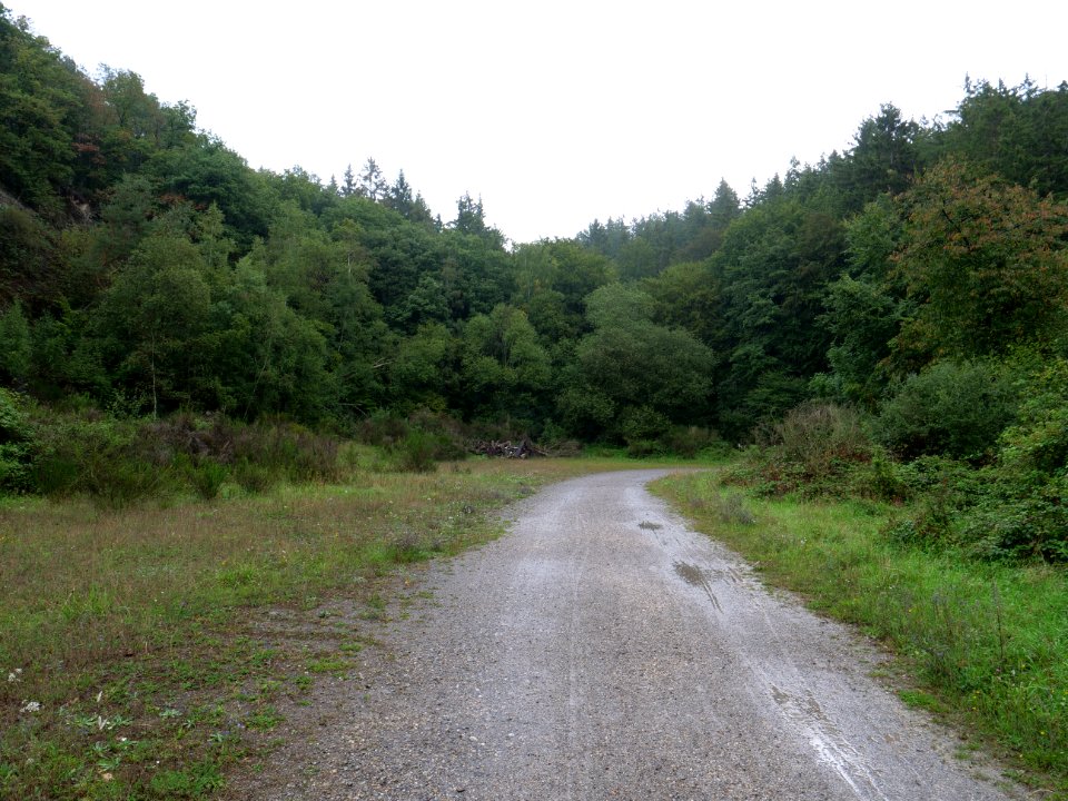 Trail at north of Urftsee 19