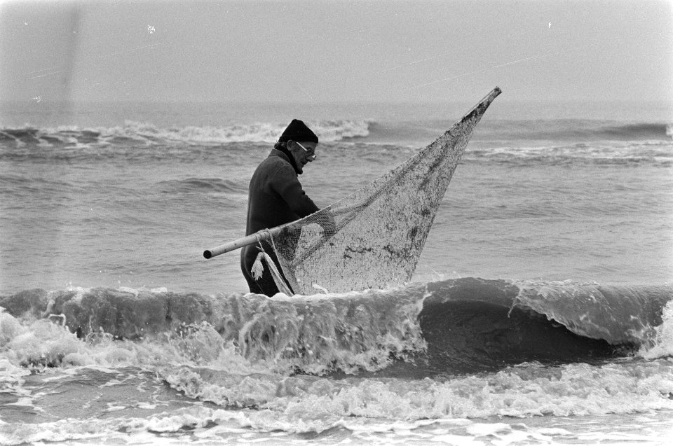 Traditionele nieuwjaarsduik in zee bij Zandvoort. Surfer in zee in Zandvoort, Bestanddeelnr 931-8905