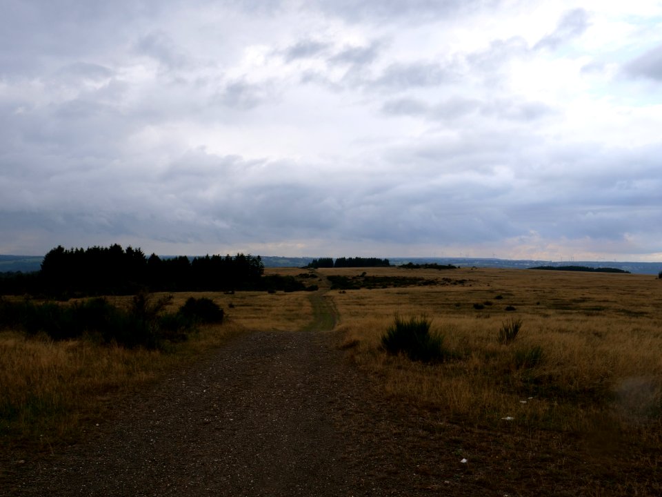 Trail at Dreiborner Hochfläche in September 2019 32