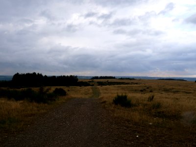 Trail at Dreiborner Hochfläche in September 2019 32