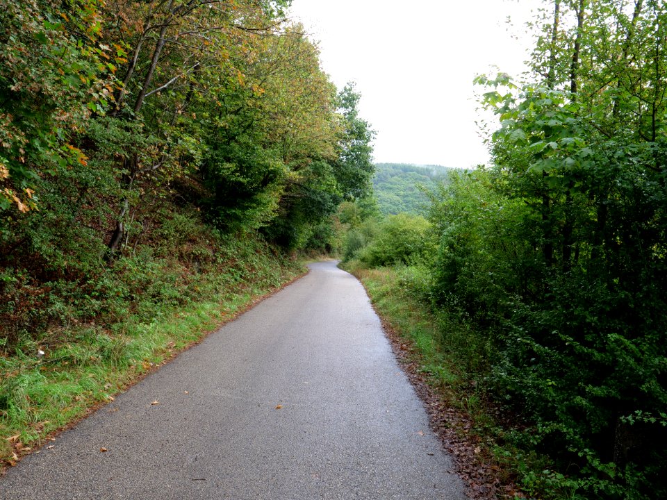 Trail at north of Urftsee 02