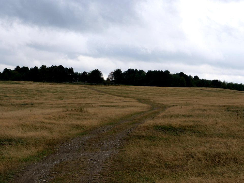Trail at Dreiborner Hochfläche in September 2019 20