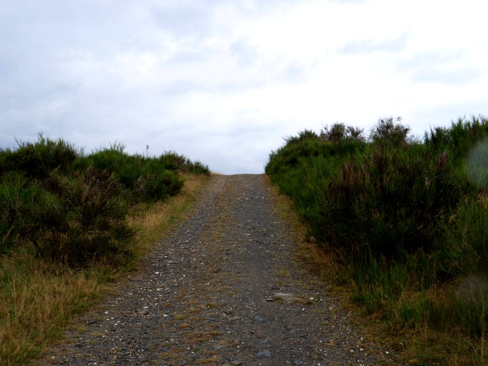 Trail at Dreiborner Hochfläche in September 2019 30