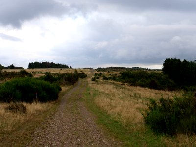 Trail at Dreiborner Hochfläche in September 2019 34