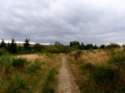 Trail at Dreiborner Hochfläche in September 2019 43