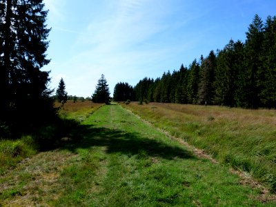 Trail at Imgenbroicher Venn 45
