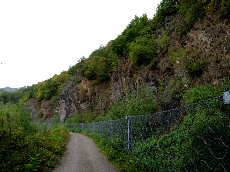 Trail at north of Urftsee 17