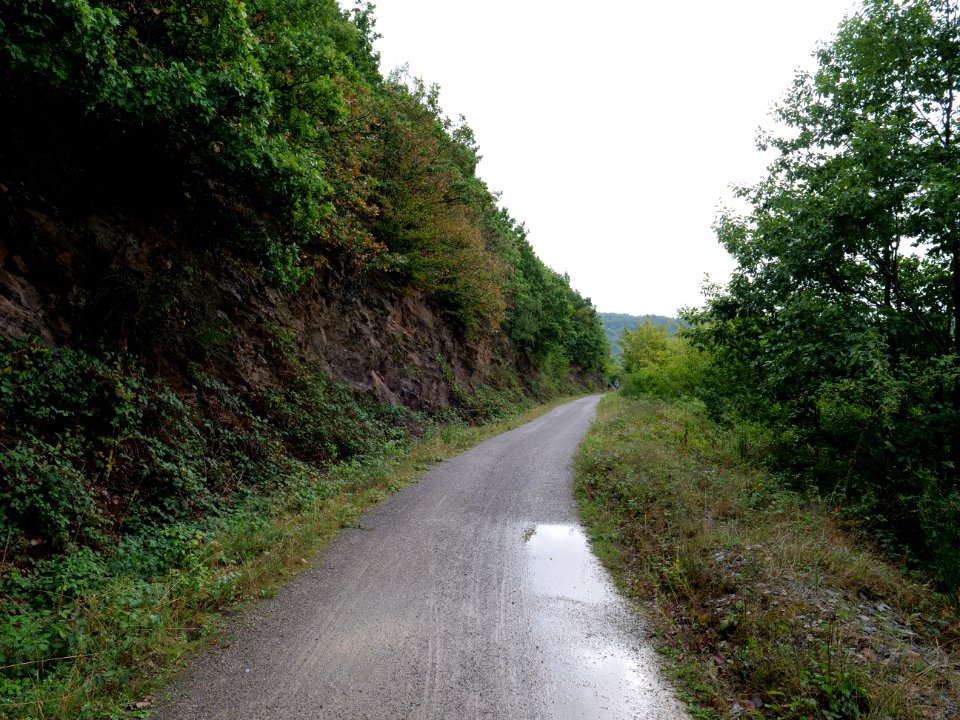 Trail at north of Urftsee 11