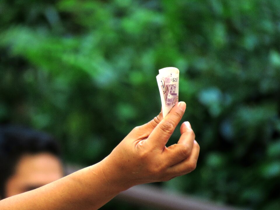 Money singapore green money