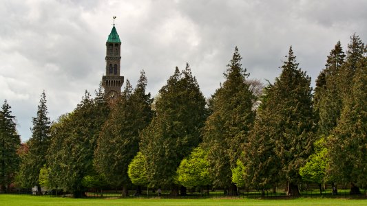 Tower at Farmleigh, May 2015