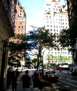 Tourists in Manhattan taking pictures on the east side looking west