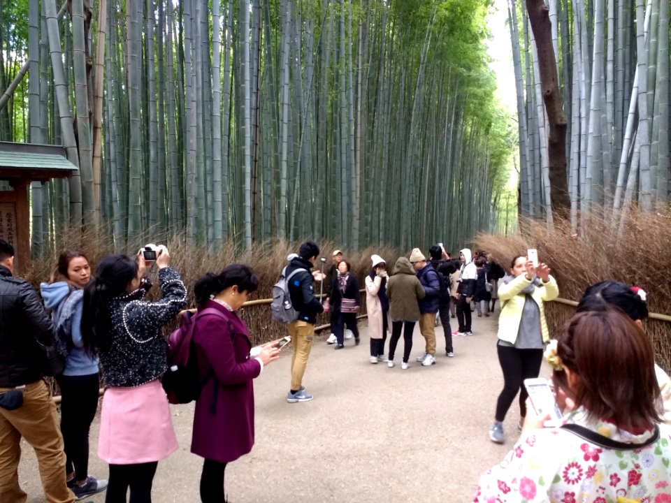 Tourists at the bamboo forest in Kyoto 1