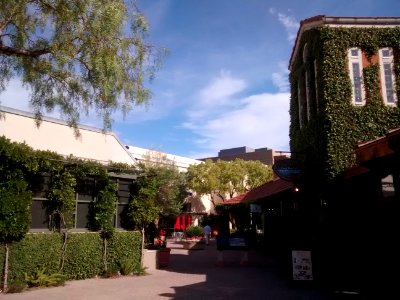 Town Center at Corte Madera 1