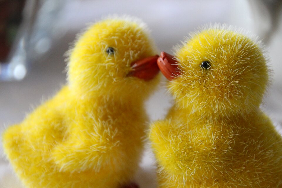 Easter easter chick funny