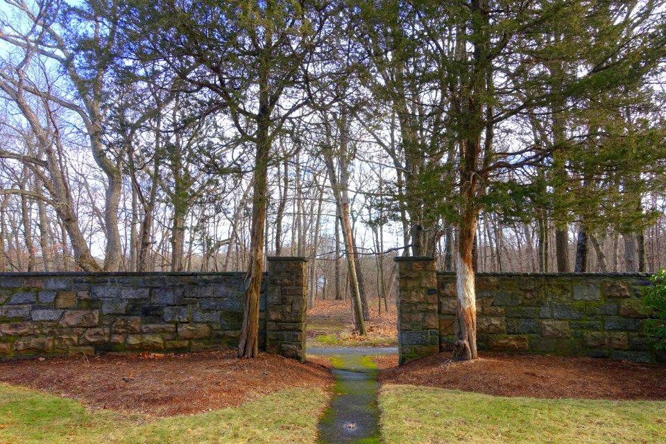 Tower Park - Lexington, MA - DSC04459