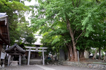 Toyozumi-jinja keidai