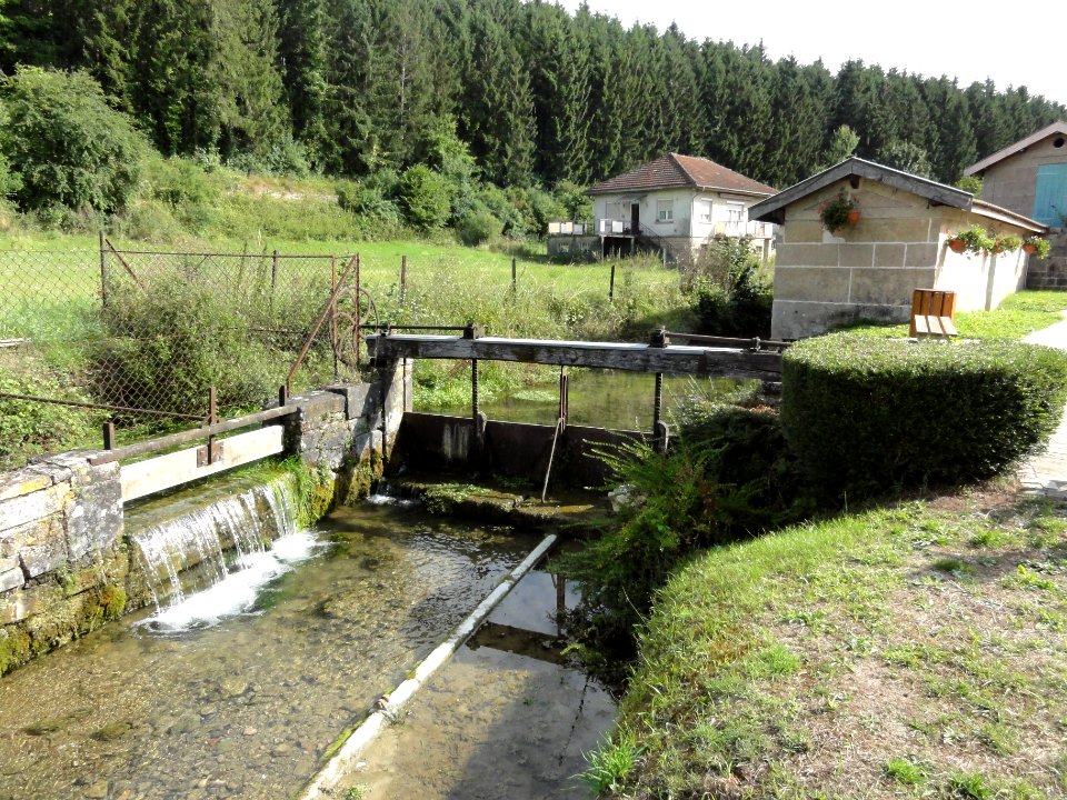 Trémont-sur-Saulx (Meuse) ruisseau Saint-Sébastien, lavoir