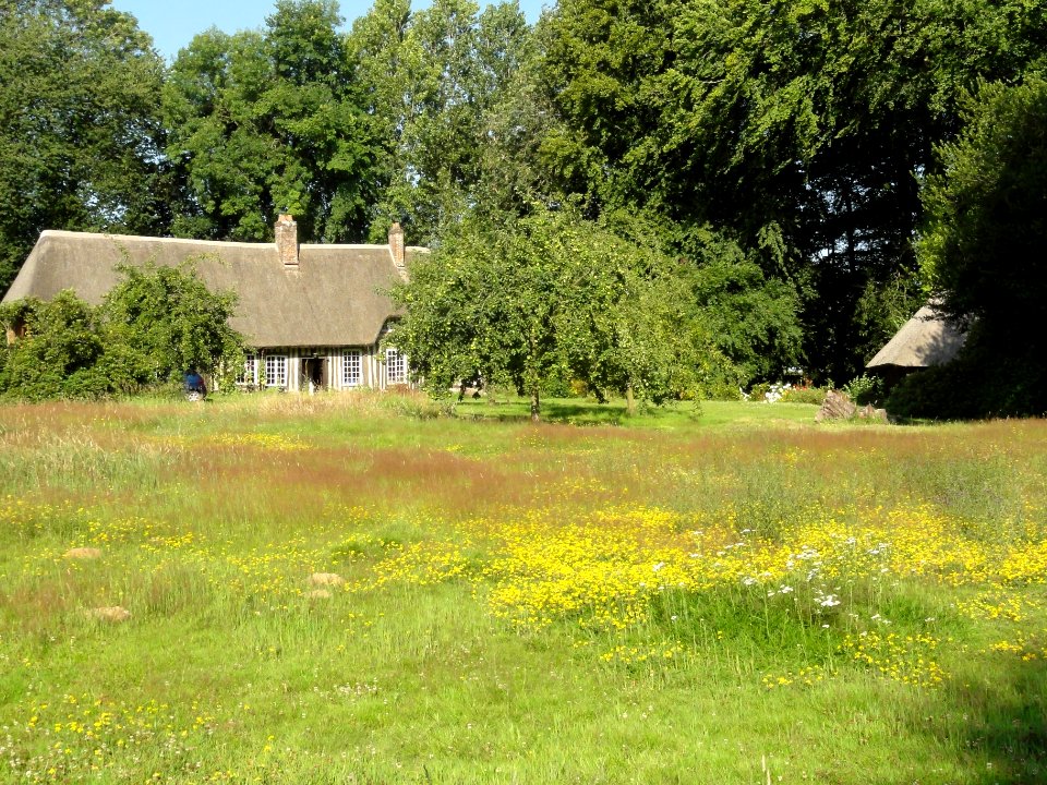 Trémauville (Seine-Mar.) ferme avec verger